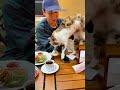 Cute Cats Cute Cats Kittens ‍ Episode 3313