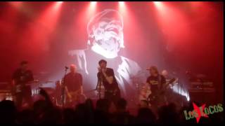 Dr Schultz Experience - Cheque Book @ Alhambra