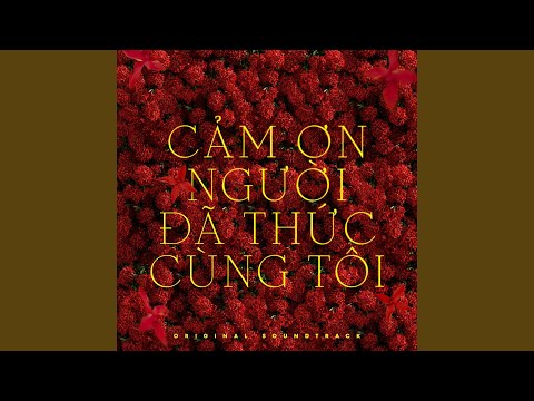 Cảm Ơn Người Đã Thức Cùng Tôi (Original Soundtrack)