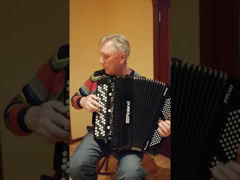 Карусель. (Roland FR-4X BK)