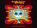Super Furry Animals- Presidential Suite