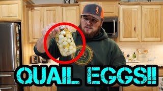 Pickled Quail Eggs!