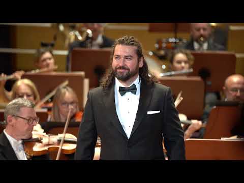 Teodor Ilincai - Recondita armonia