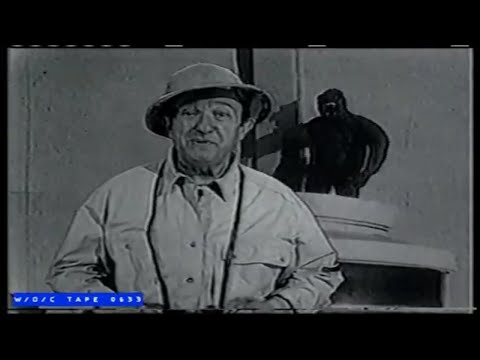 WOC Tape 0633 Local Commercials Compilation - 1991