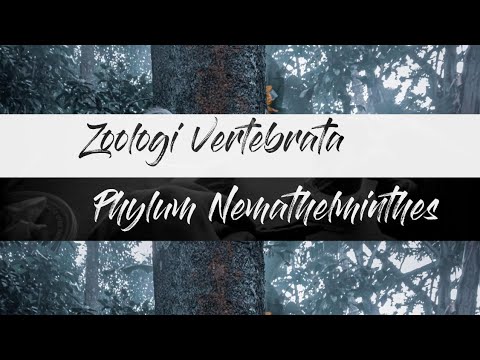 Döbbenetes! Gigantikus féreg mászott ki a magyar kisbabából, ezt mondta a gyermekorvos