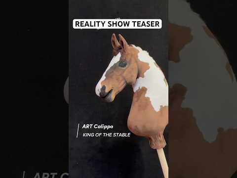 Hobbyhorse Reality Show!!💥