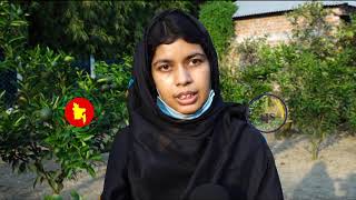 মাল্টা-বারমাসি (রফিক, বৈশাখী নার্সারি)