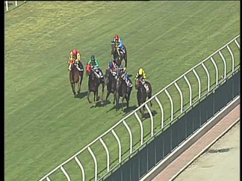 Galoppo 18/05/2017 - 3ª corsa