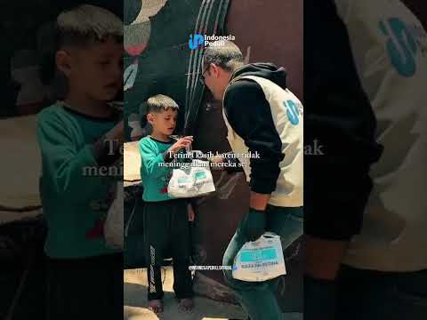 Update Bantuan Palestina