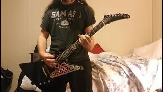 The Fluke (Guitar Cover) - Devin Townsend