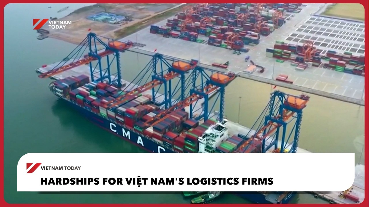 Hardships for Việt Nam's logistics firms | Vietnam Today
