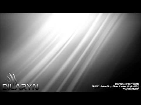 DLR015 - Anton Flipp - Silver Shadow (Original Mix)