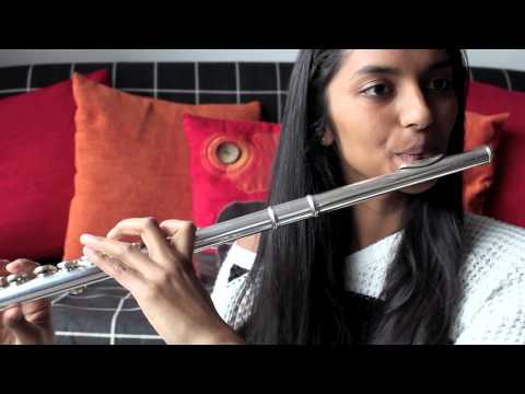 Roar - Katy Perry flute cover