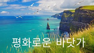 평화로운 바닷가와 갈매기 – 휴식과 기억 케어를 위한 2시간의 잔잔한 파도 소리