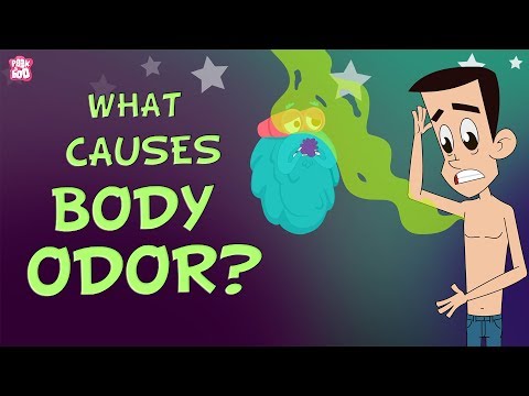 What Causes Body Odor? | The Dr. Binocs Show | Best Learning Videos For Kids | Peekaboo Kidz