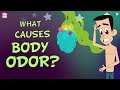 What Causes Body Odor? | The Dr. Binocs Show | Best Learning Videos For Kids | Peekaboo Kidz