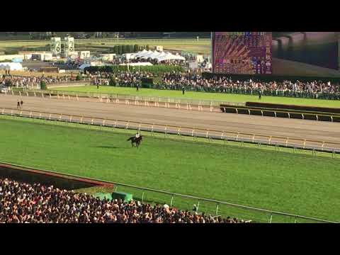 2018年天皇賞秋 レイデオロ本馬場入場