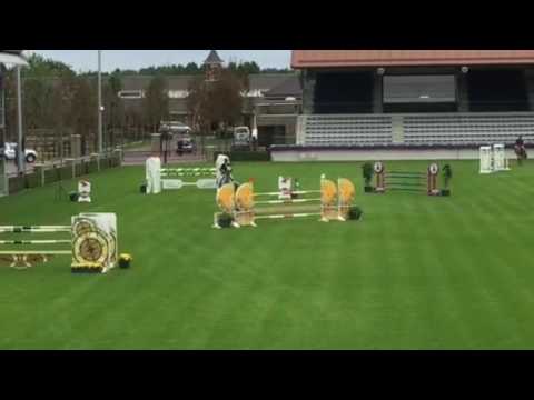 Winning Girl Z, 6j csiYH Valkenswaard.