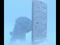 No No No No No NO Monster S Inc 2001