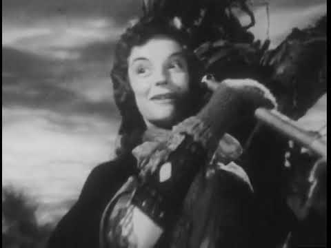 trailer image
