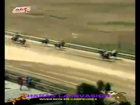 VALENCIA, 4 CARRERA VIERNES 06 DE FEBRERO DEL 2015