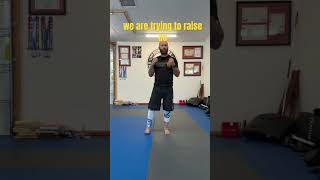 Next stop France! https://gofund.me/2f5dd377e #shorts #karate #martialarts