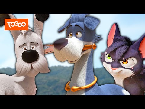 Idefix Deutsch | Wollen wir wetten? | Ganze Folge | TOGGO Serien