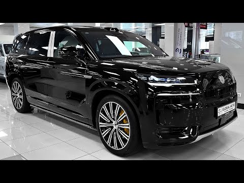 2025 Denza N9 - Exterior and Interior Features