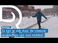 Rotterdamse oud-biatleet geeft langlauftips: 'Zak een beetje door je knieën'