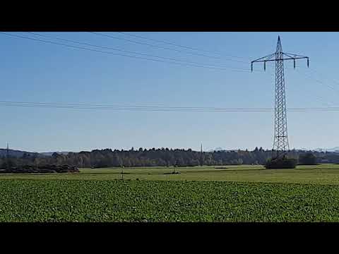 Blackout - Grund zur Panik?