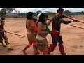 How To Animal Book South Africa Jungle Beautiful Status Tribe Amazon