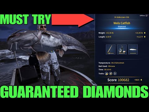 How To Catch Diamond Wels Catfish In Spain Broken Guaranteed Method - Call Of The Wild : The Angler