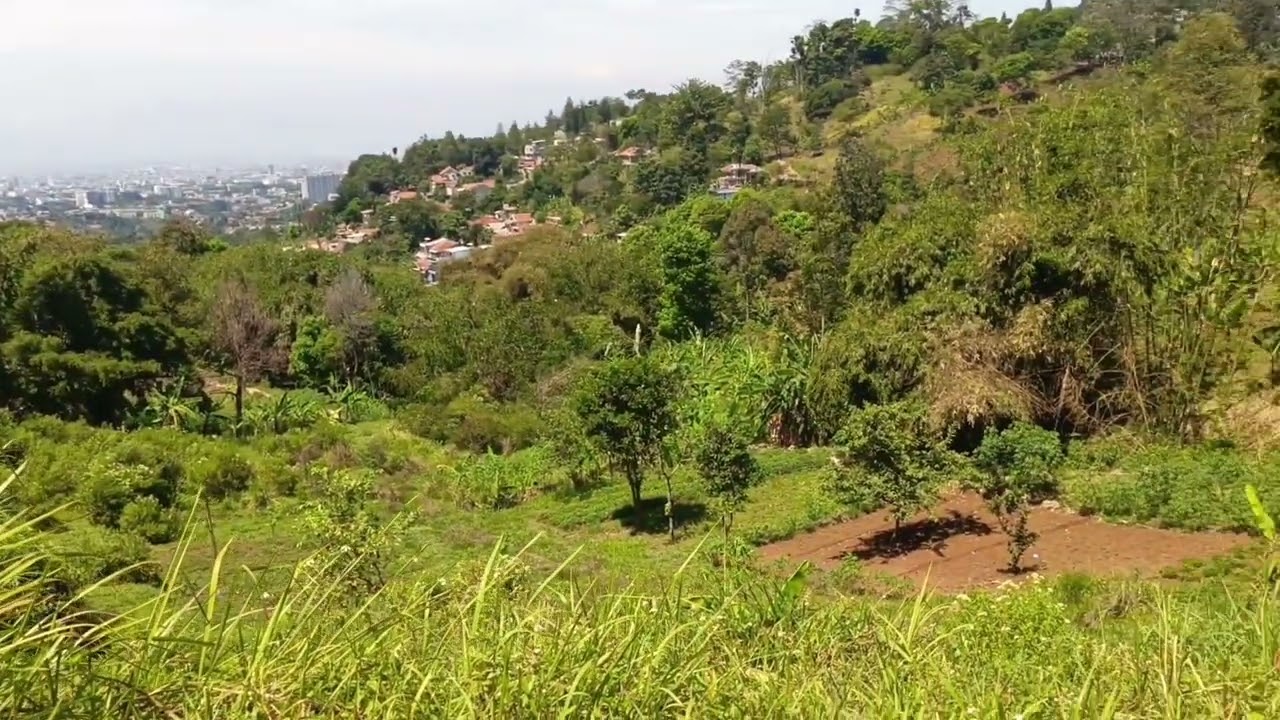 Tanah 7865 m² SHM Di Citra Green Dago Bandung