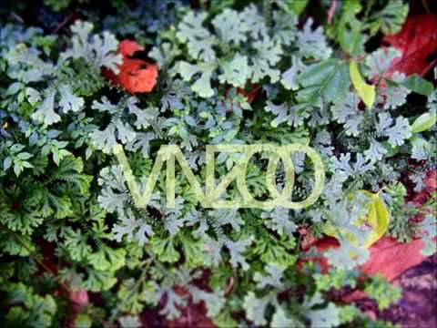 Selva by VINZOO //DiGiTaL EtHNiK MuSiK//