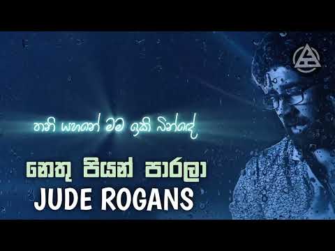 🎵 Nethu Piyan | Lyrics Video (Fan-Made) 🎵