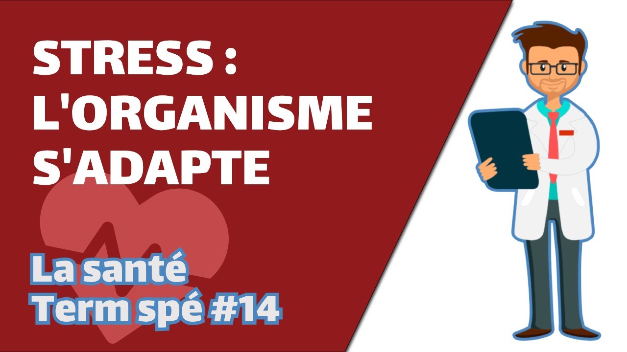 Stress : L'organisme s'adapte - SVT - SANTÉ Term spé #14 - Mathrix