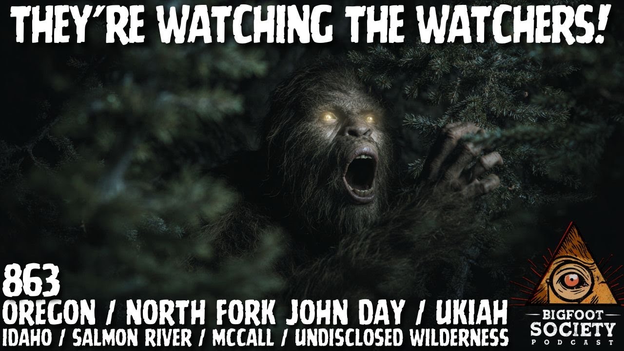 Something Watched Me From 200 Yards — Then Vanished | Oregon | Idaho