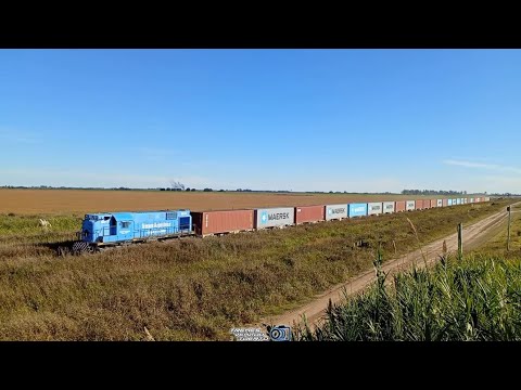 Alco #8511 entre Carmen - Elortondo con el cargamento de alfalfa #trenesargentinos