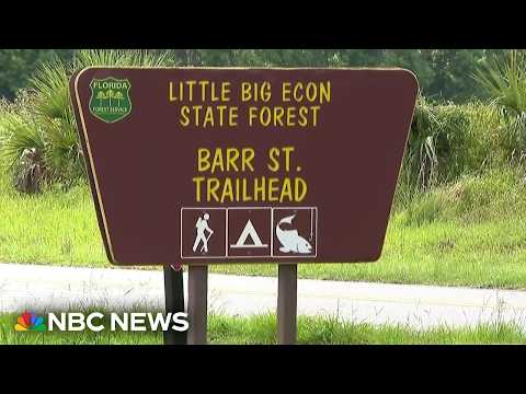 Woman dies after alligator bites off her arm in Florida river