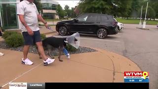 Wounded Columbus police K9 Havoc returns home after hospital discharge