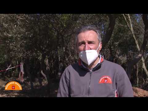 Servizio AIB - Piano delle colline livornesi