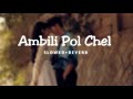 Ambili Pol Chel Slowed Reverb Monjathi From Qalb Arxsshh