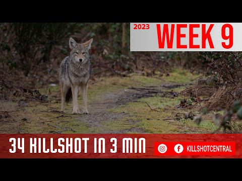 HUNTING KILLSHOT COMPILATION EP. 9 | WEEKLY RECAP | KILLSHOT CENTRAL