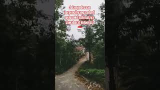 Download lagu Jalan pedesaan #icharafisqy #desa #alam #petani #natural #nature #pemandangan #viral #shorts mp3