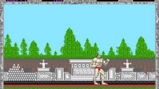 Altered Beast for DOS