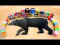 How To Make A Giant Bear Hole With Soda Fanta Coca Cola Vs Mentos Popular Drinks