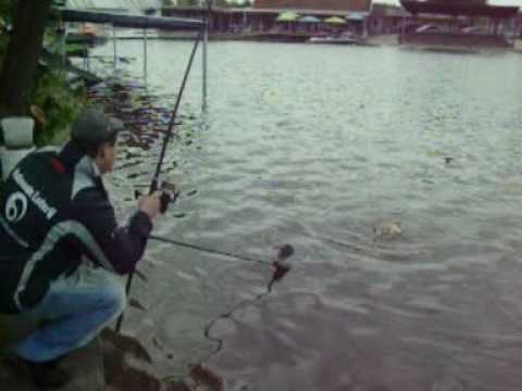 Schubkarper 21 mei 2009