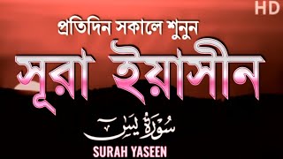 💫 Har Mushkil Ka Hal – Surah Yaseen Ki Tilawat Se Milti Hai Rahat