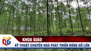Các phương pháp trồng VÀ CẢI TẠO cây rừng hiệu quả