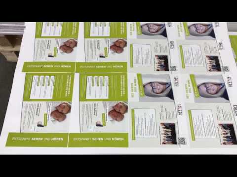 Heidelberg 52-4 Anicolor